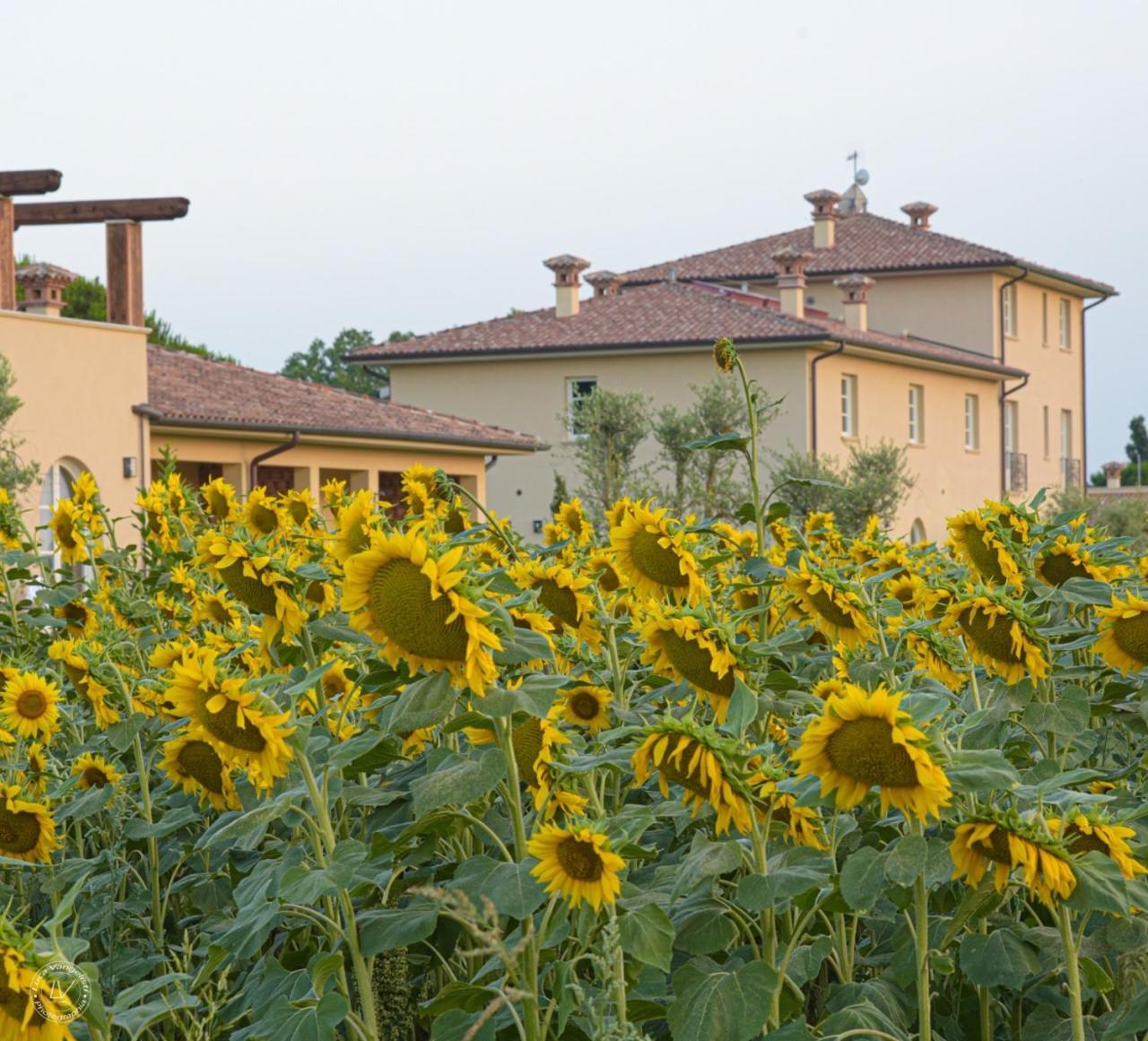 Toscana Campiglia Marittima